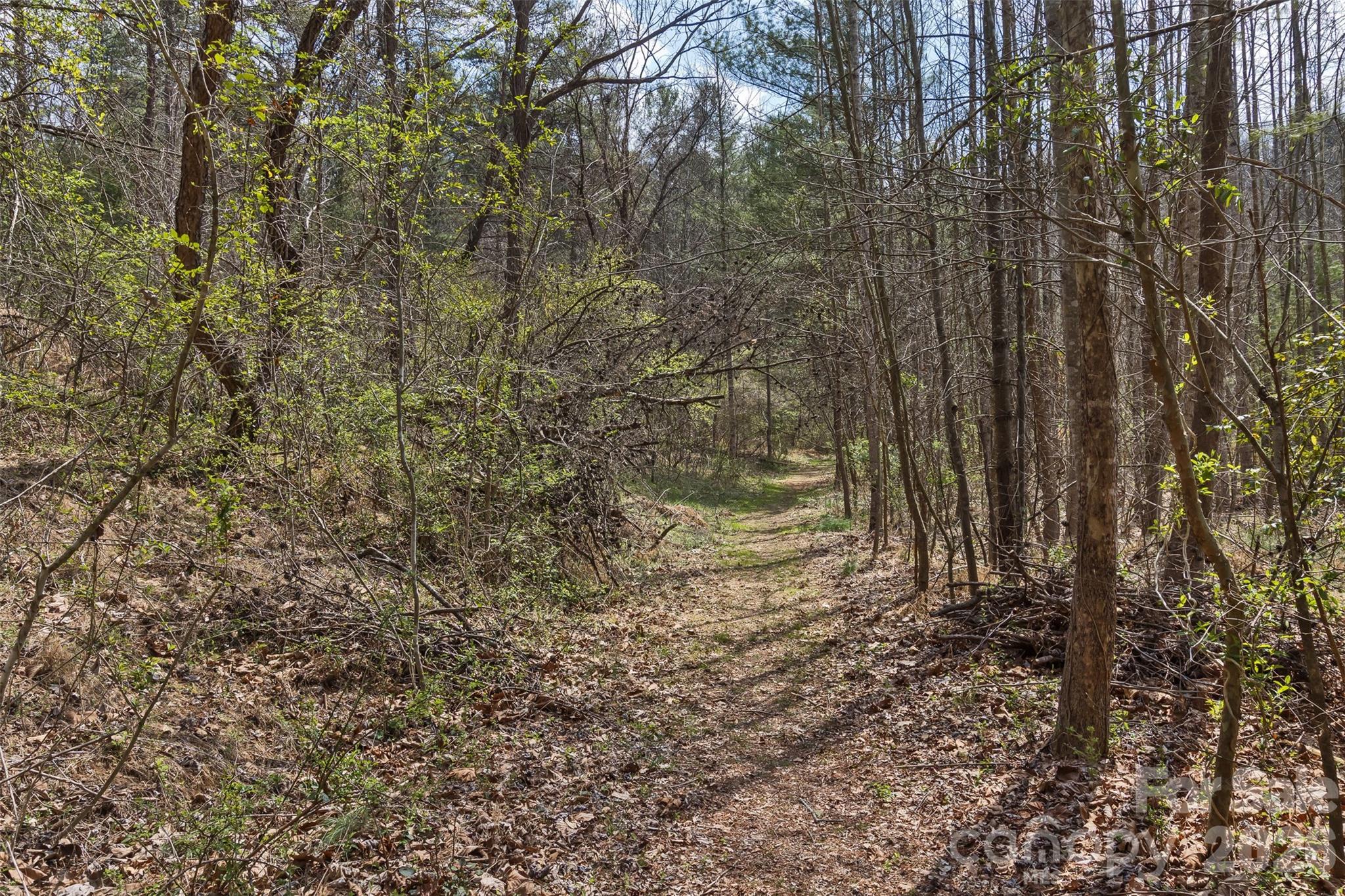 35 Pinebrook Club Drive Asheville NC 28804