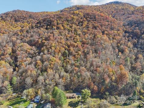 480 Paint Fork Road Barnardsville NC 28709