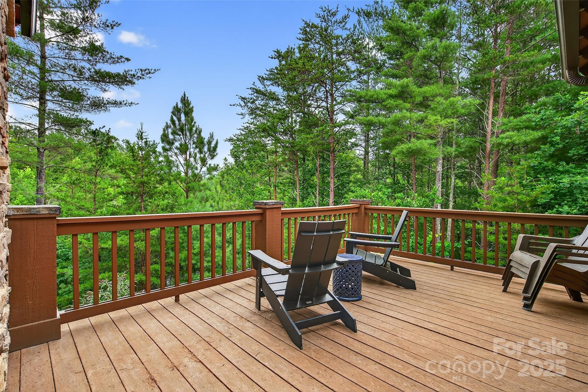 1077 Ten Whigs Ridge Nebo NC 28761