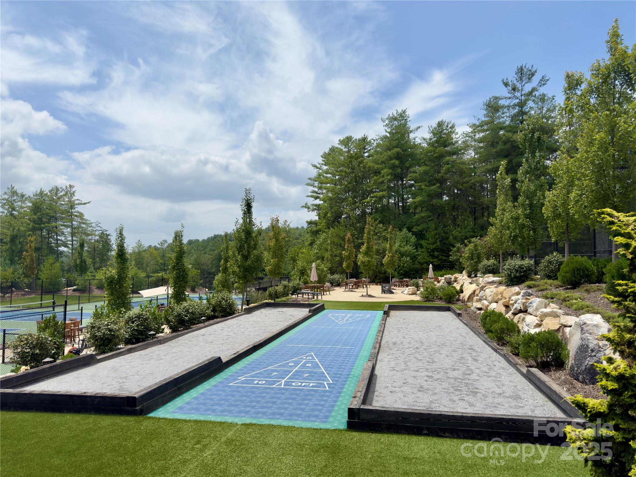 1077 Ten Whigs Ridge Nebo NC 28761