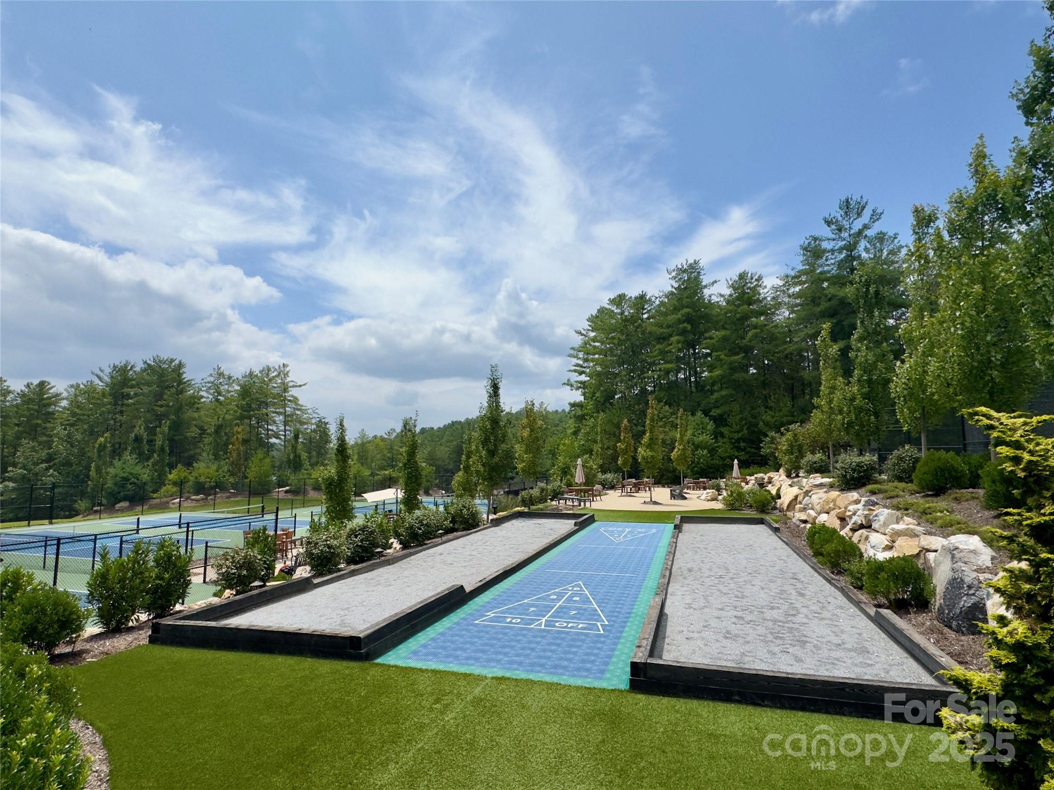 1077 Ten Whigs Ridge Nebo NC 28761