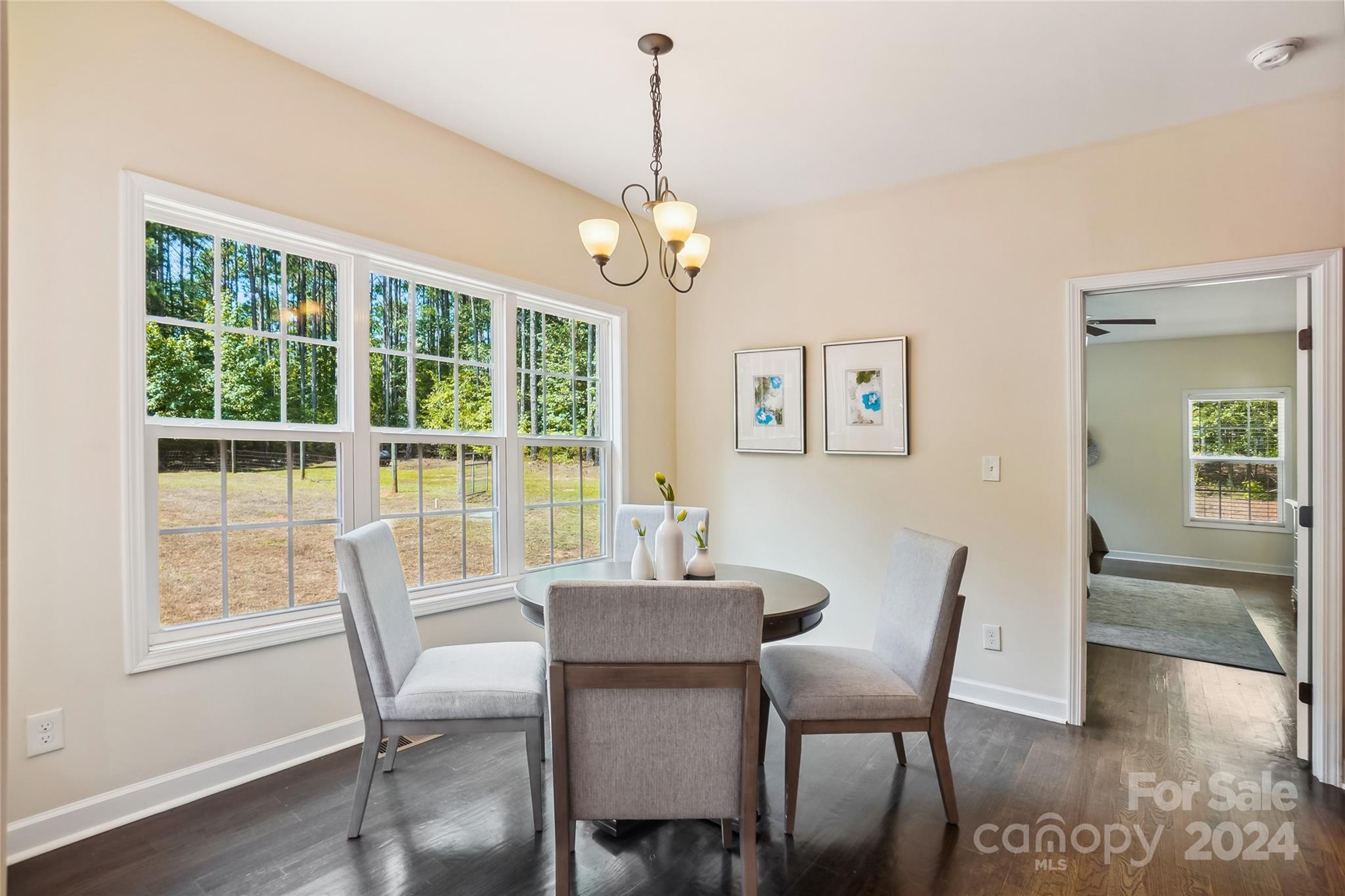 531 Tributary Drive Fort Lawn SC 29714