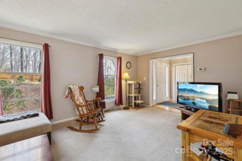 15 Jonway Court Candler NC 28715