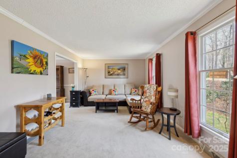 15 Jonway Court Candler NC 28715