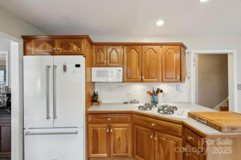 15 Jonway Court Candler NC 28715