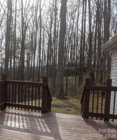 11 Gertrude Lane Candler NC 28715