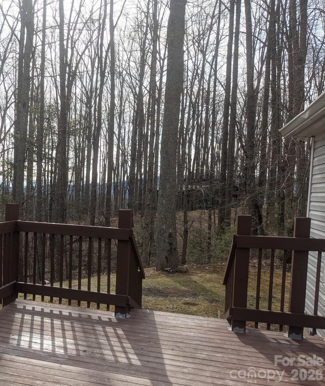 11 Gertrude Lane Candler NC 28715