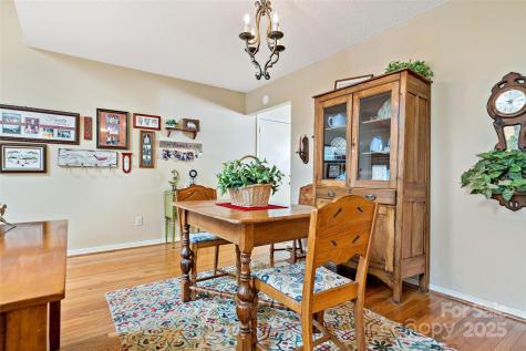 2 Llama Vista Court Black Mountain NC 28711