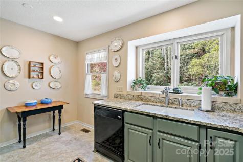 2 Llama Vista Court Black Mountain NC 28711