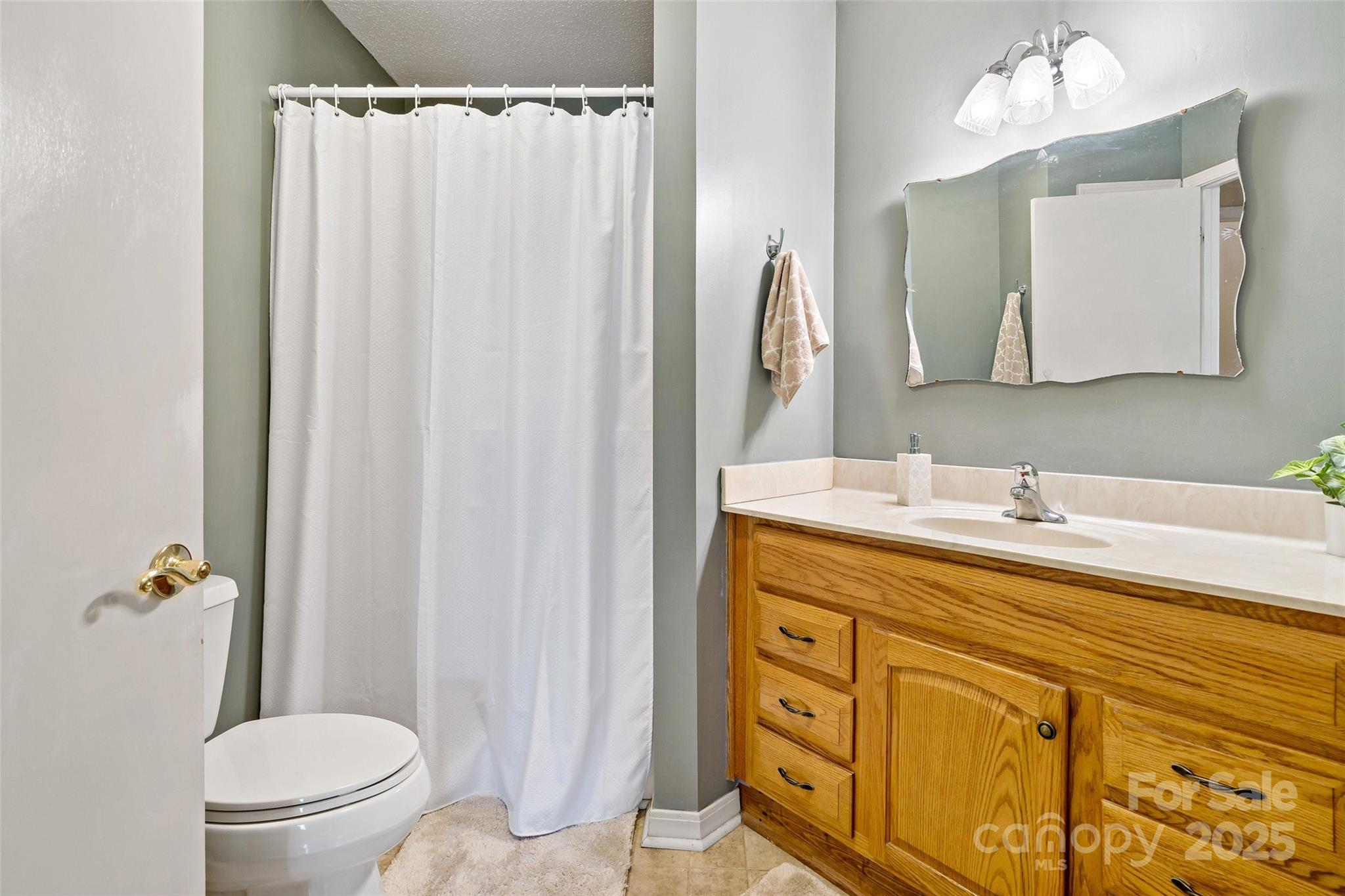 2 Llama Vista Court Black Mountain NC 28711