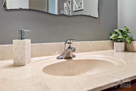 2 Llama Vista Court Black Mountain NC 28711