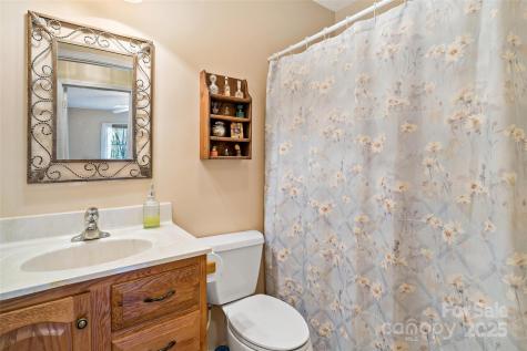 2 Llama Vista Court Black Mountain NC 28711