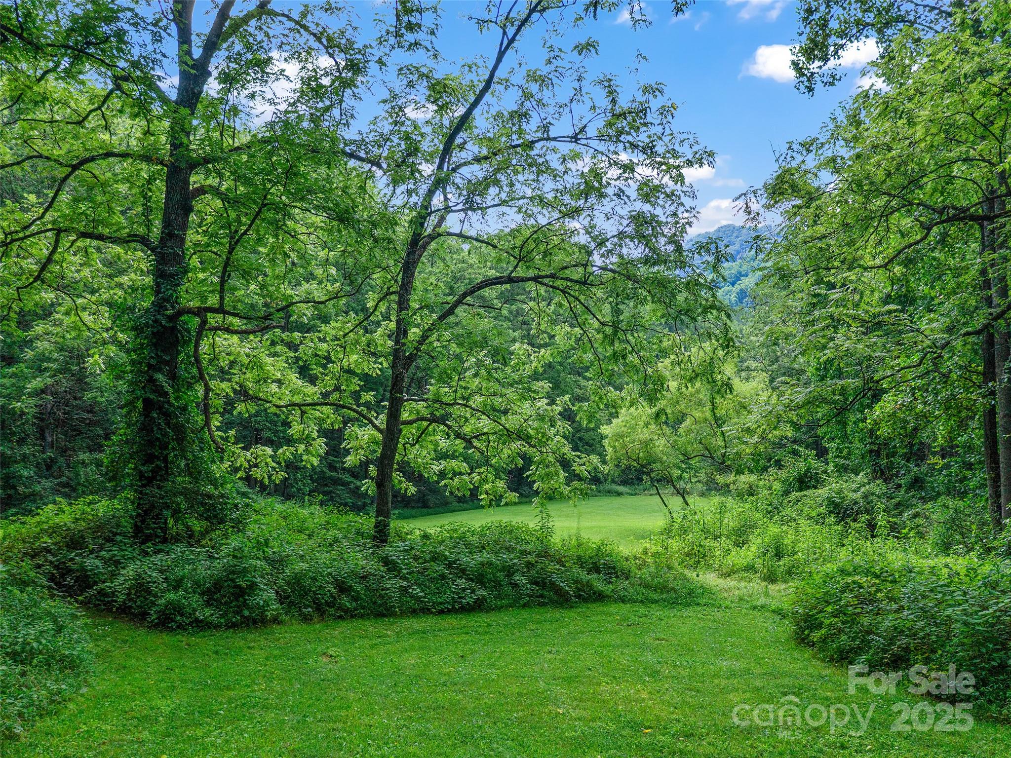 9065 Nc 63 Highway Leicester NC 28748