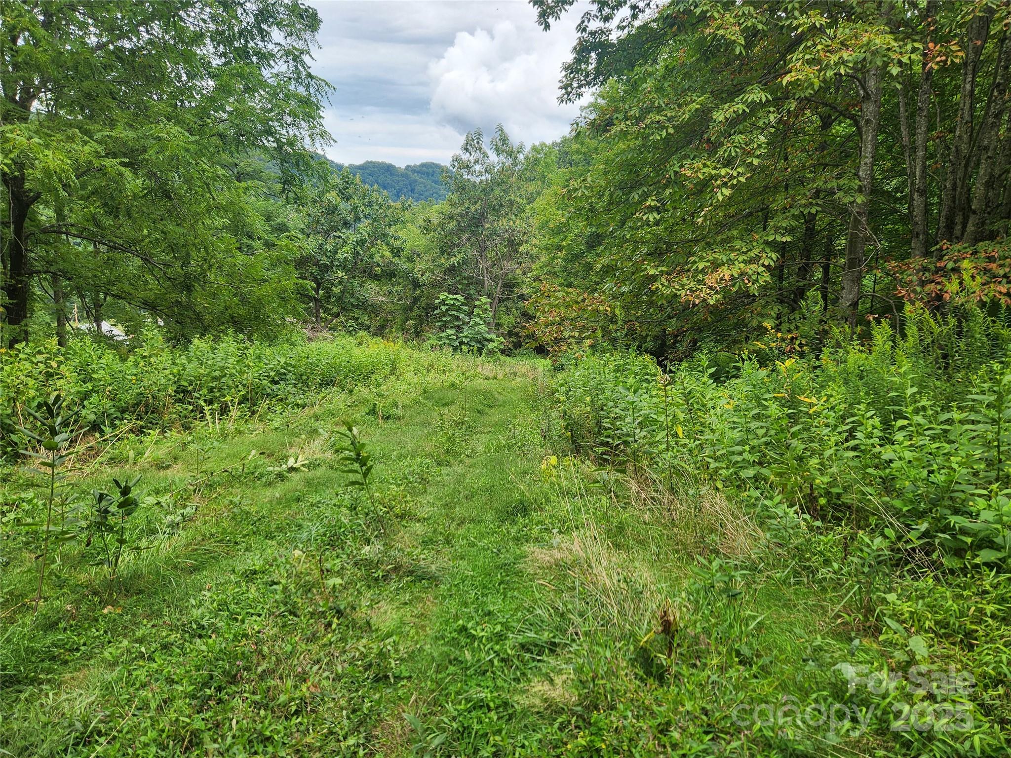 1925 S Fork Road Marshall NC 28753