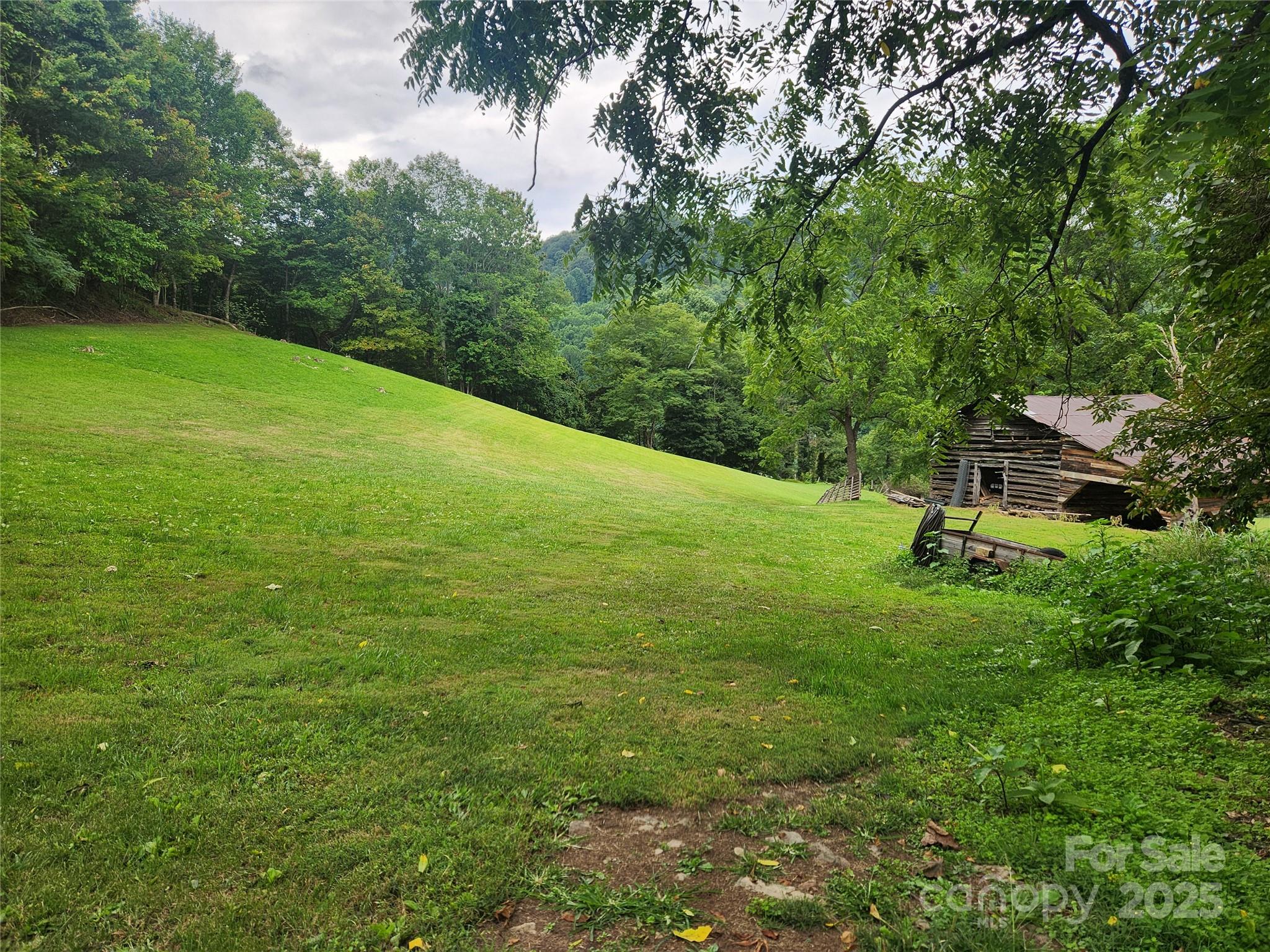 1925 S Fork Road Marshall NC 28753
