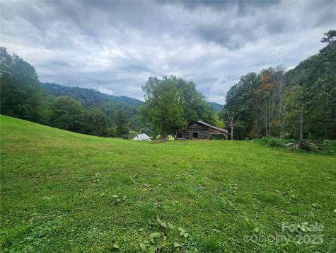 1925 S Fork Road Marshall NC 28753