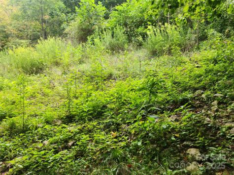 1925 S Fork Road Marshall NC 28753