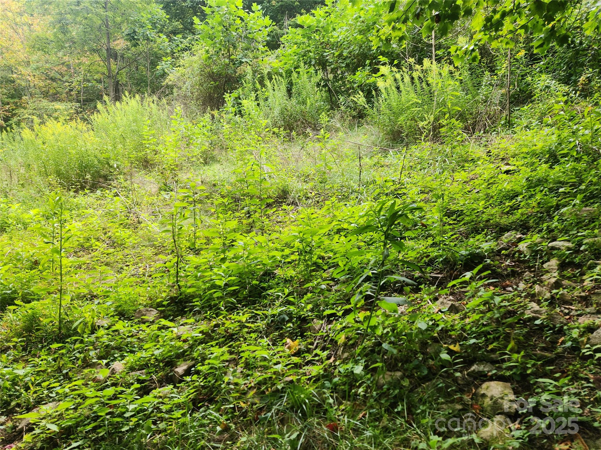 1925 S Fork Road Marshall NC 28753