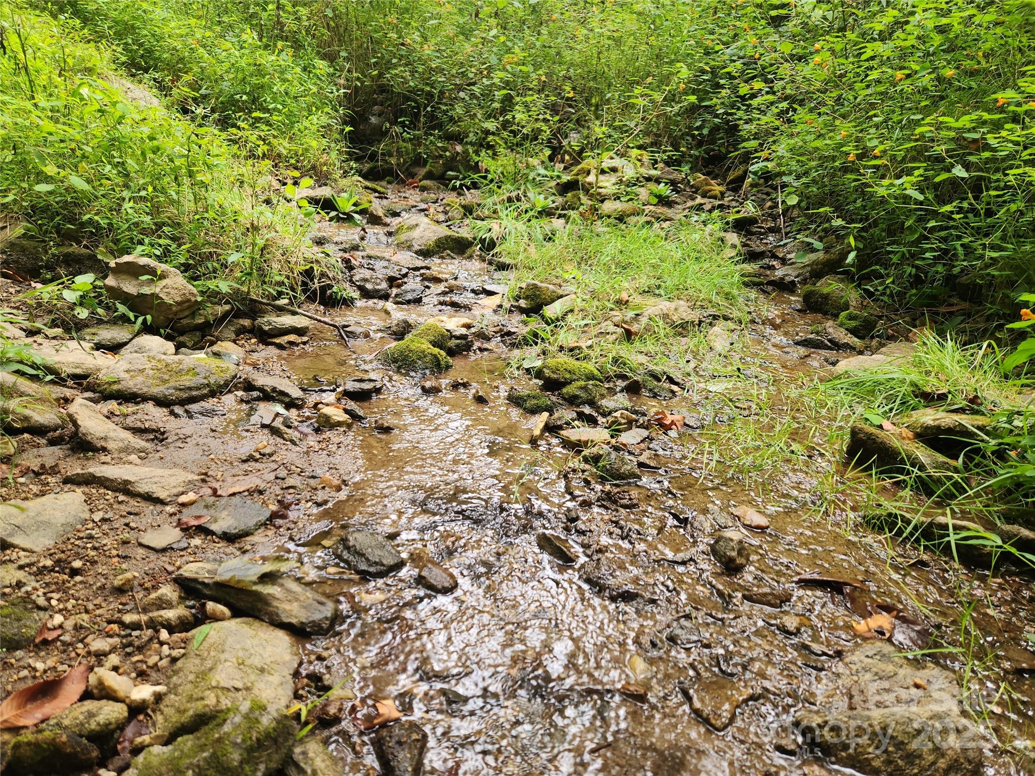 1925 S Fork Road Marshall NC 28753