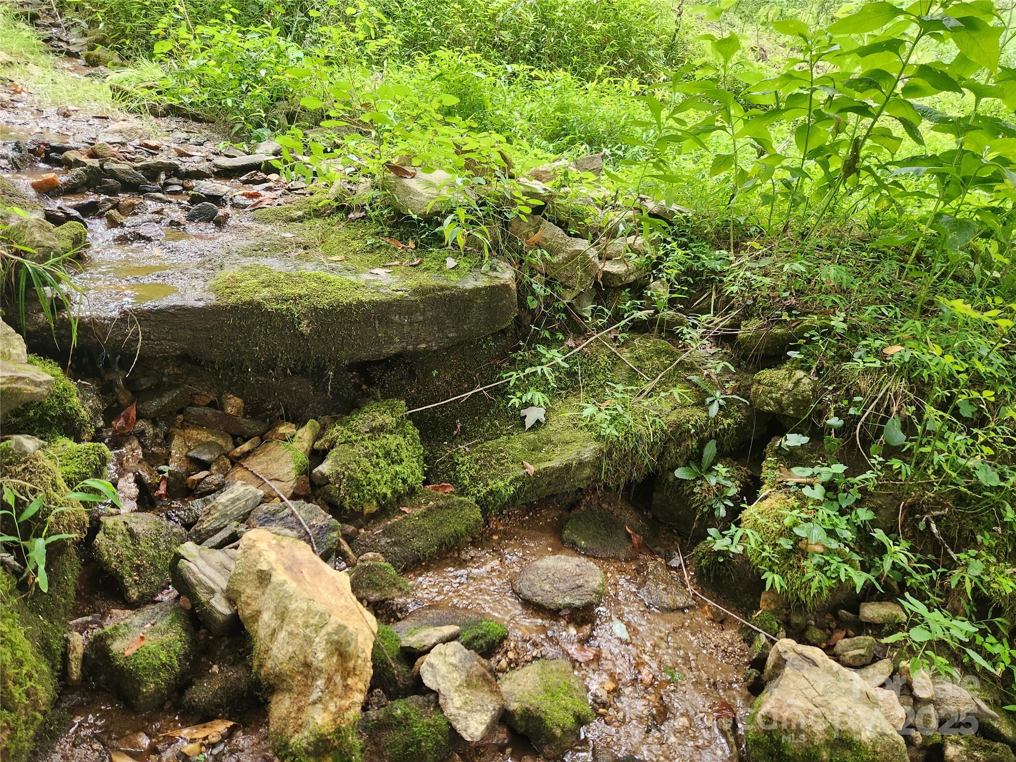 1925 S Fork Road Marshall NC 28753