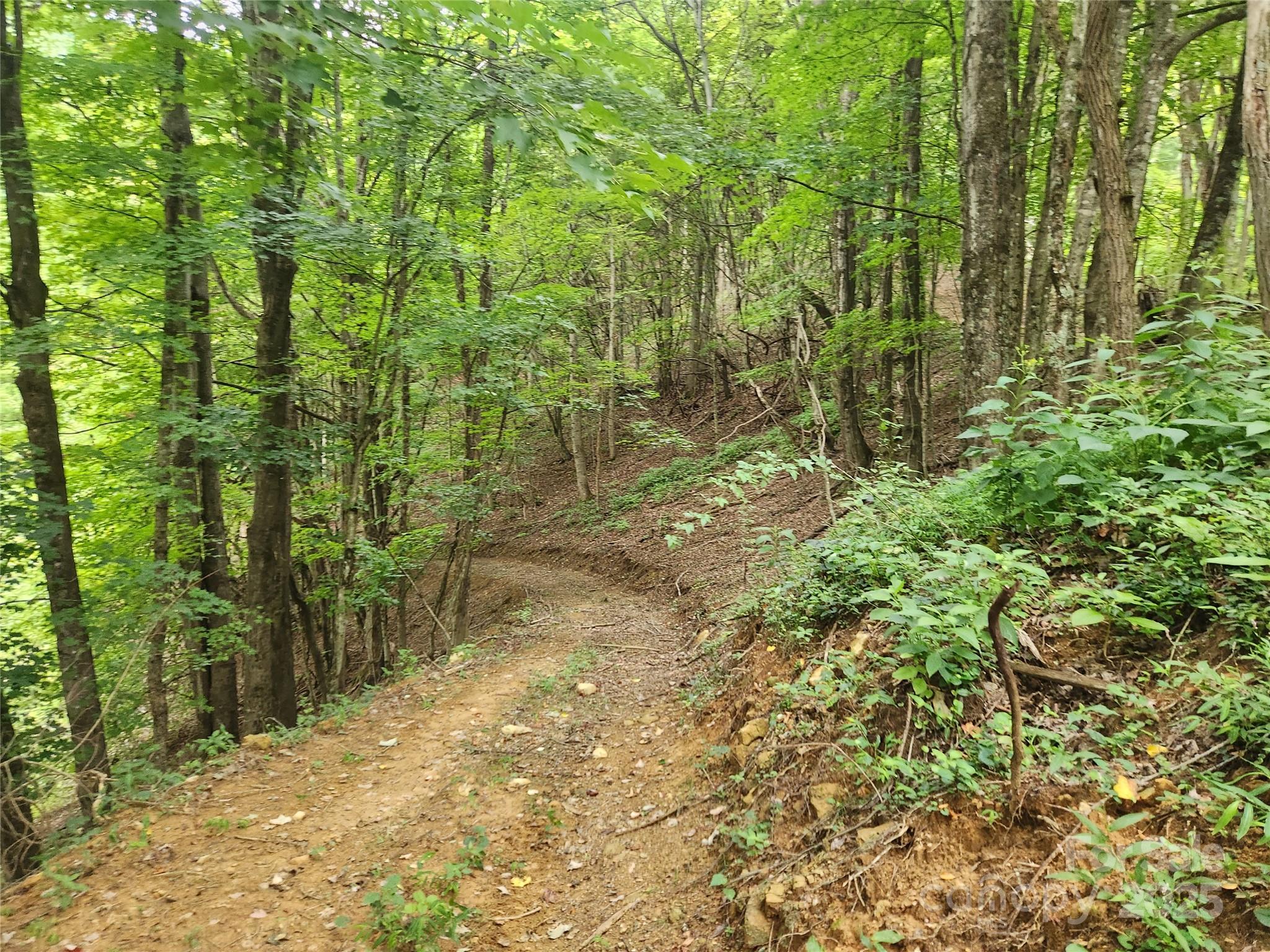 1925 S Fork Road Marshall NC 28753