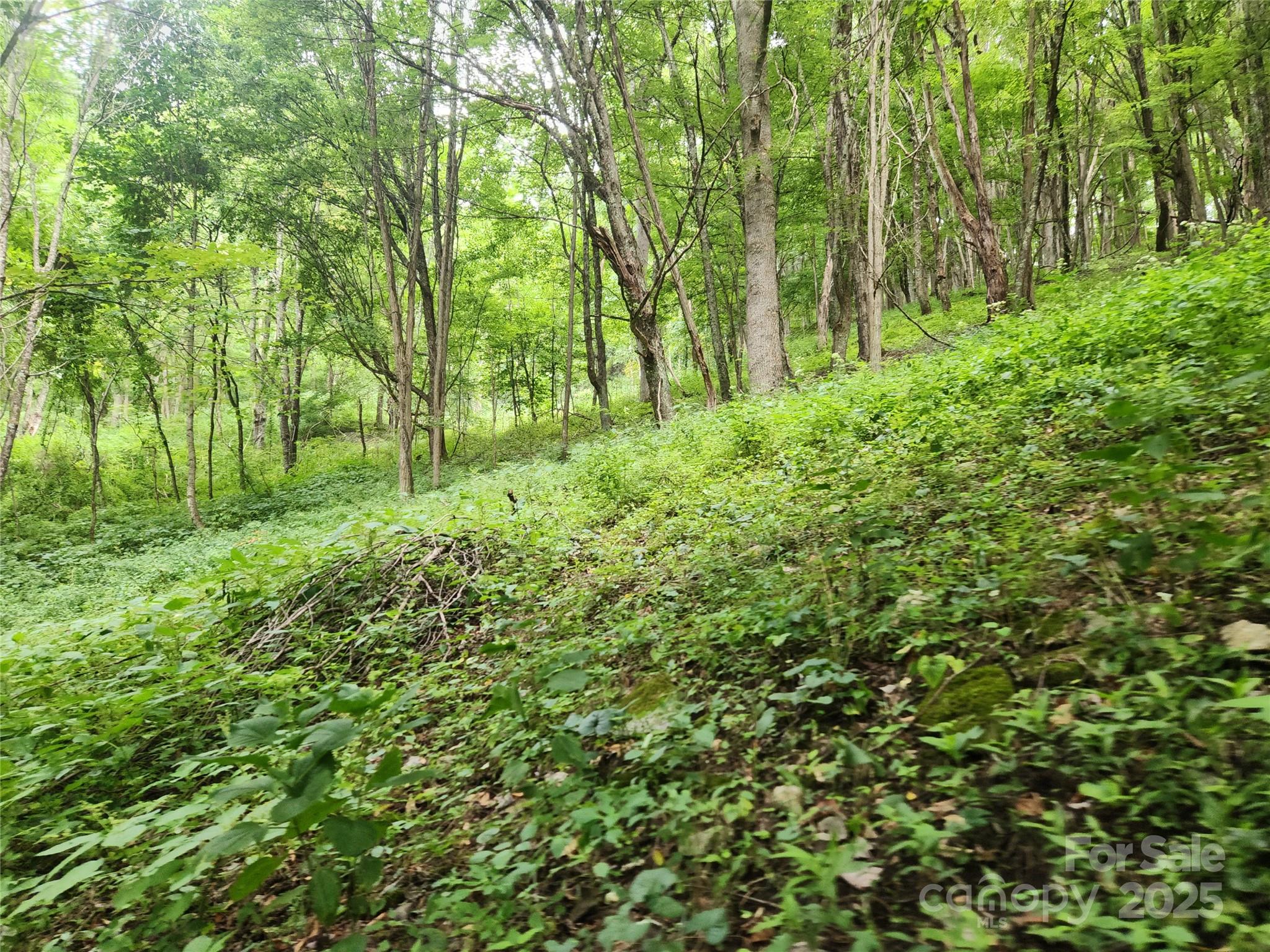 1925 S Fork Road Marshall NC 28753