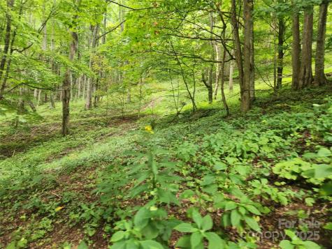1925 S Fork Road Marshall NC 28753