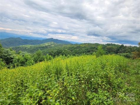 1925 S Fork Road Marshall NC 28753