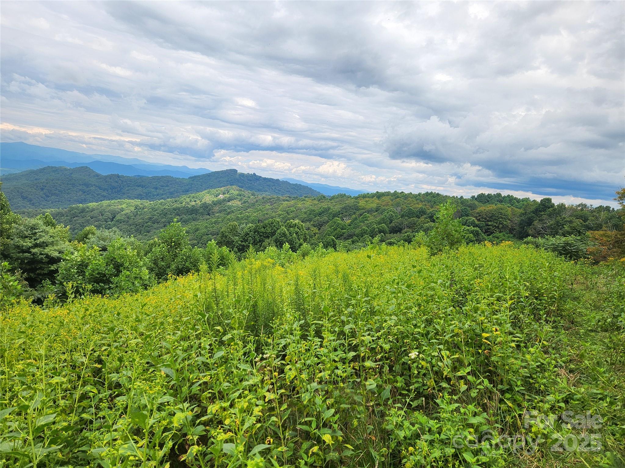 1925 S Fork Road Marshall NC 28753
