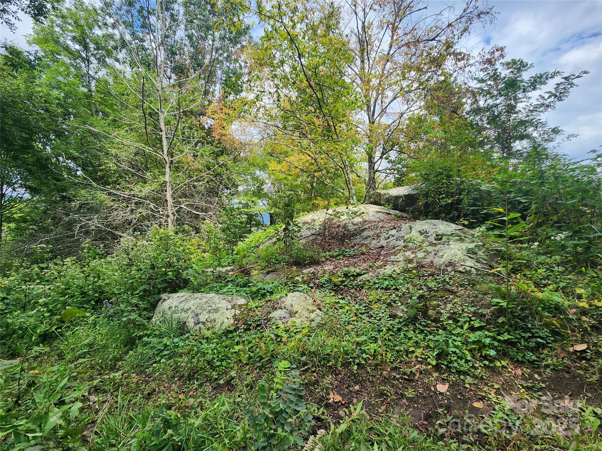 1925 S Fork Road Marshall NC 28753