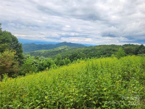 1925 S Fork Road Marshall NC 28753