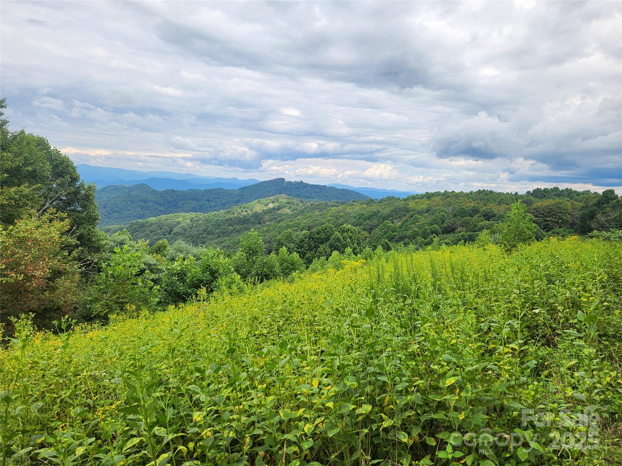 1925 S Fork Road Marshall NC 28753