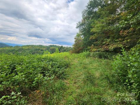 1925 S Fork Road Marshall NC 28753