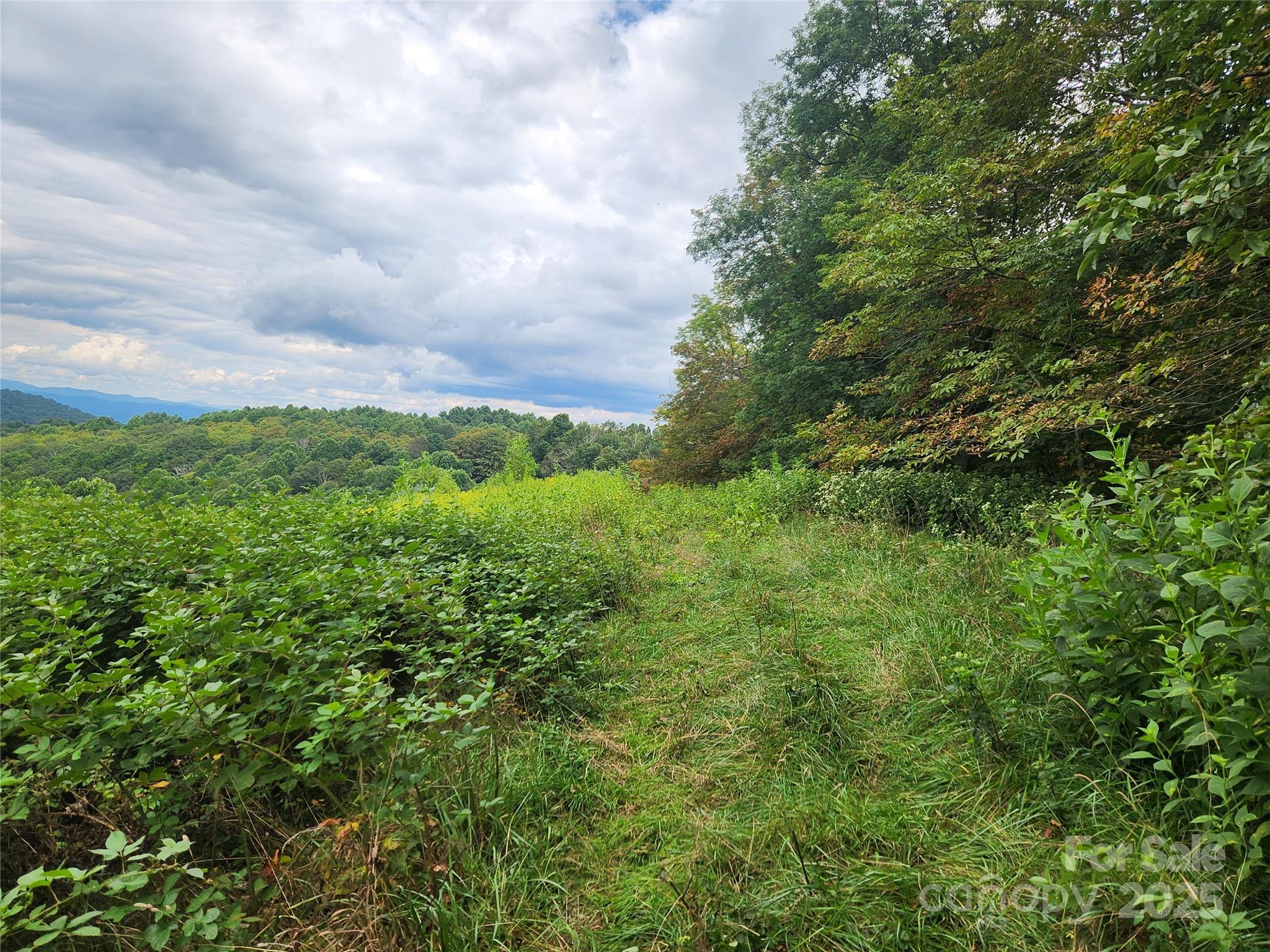 1925 S Fork Road Marshall NC 28753