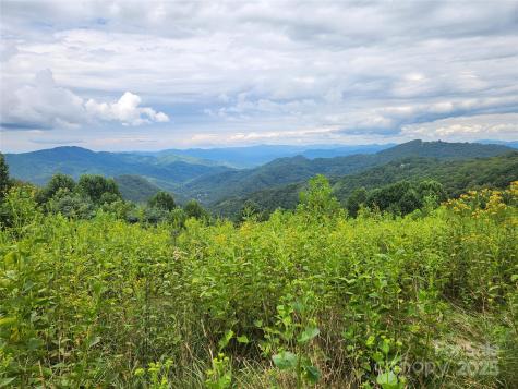 1925 S Fork Road Marshall NC 28753