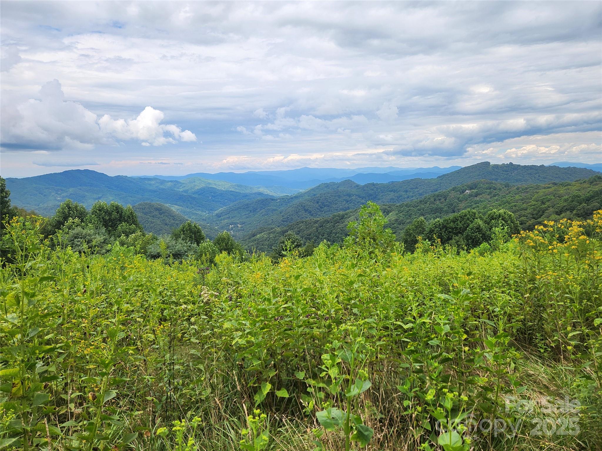 1925 S Fork Road Marshall NC 28753