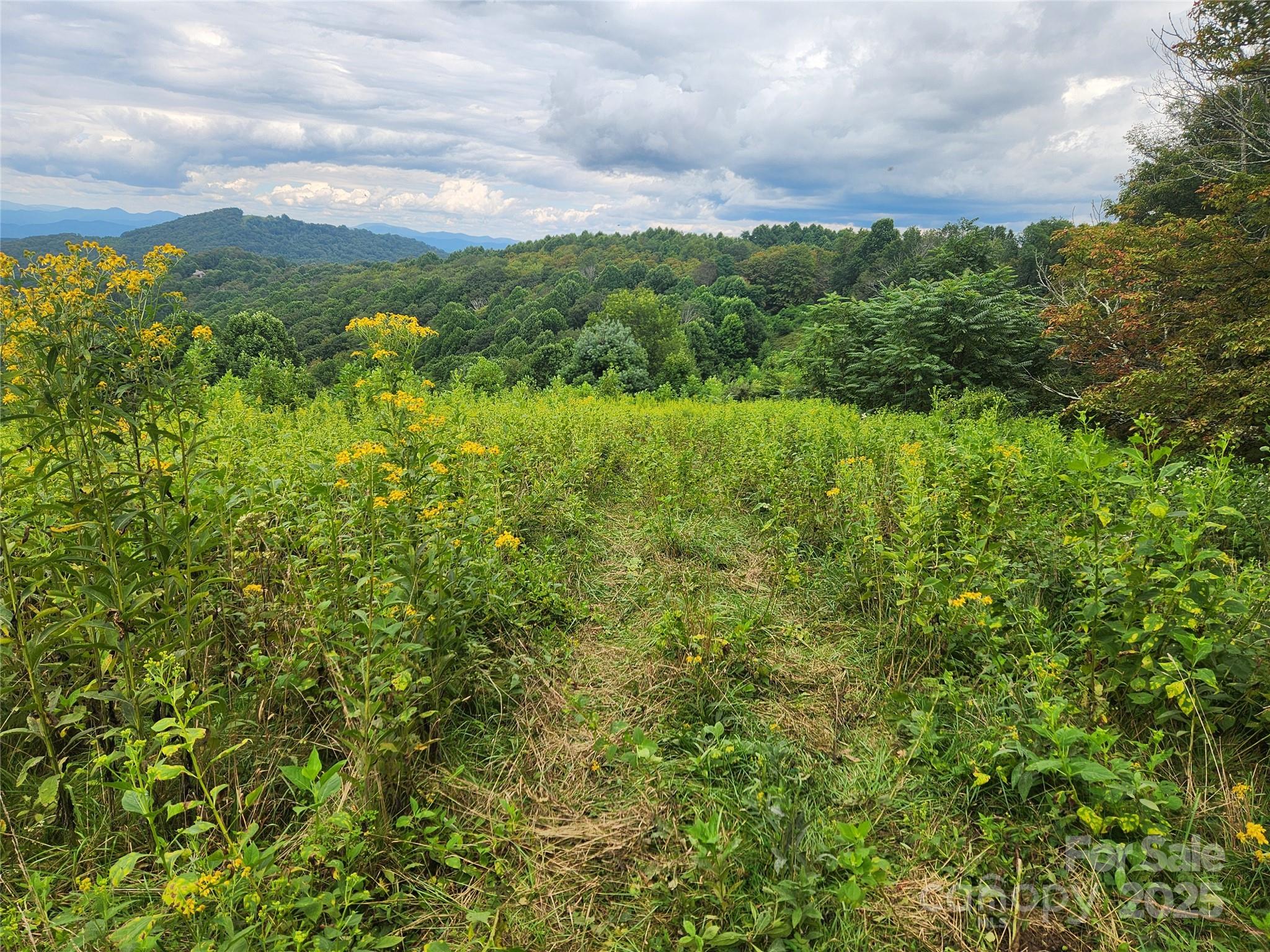 1925 S Fork Road Marshall NC 28753