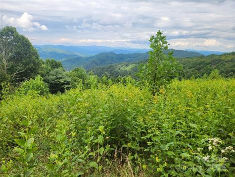 1925 S Fork Road Marshall NC 28753