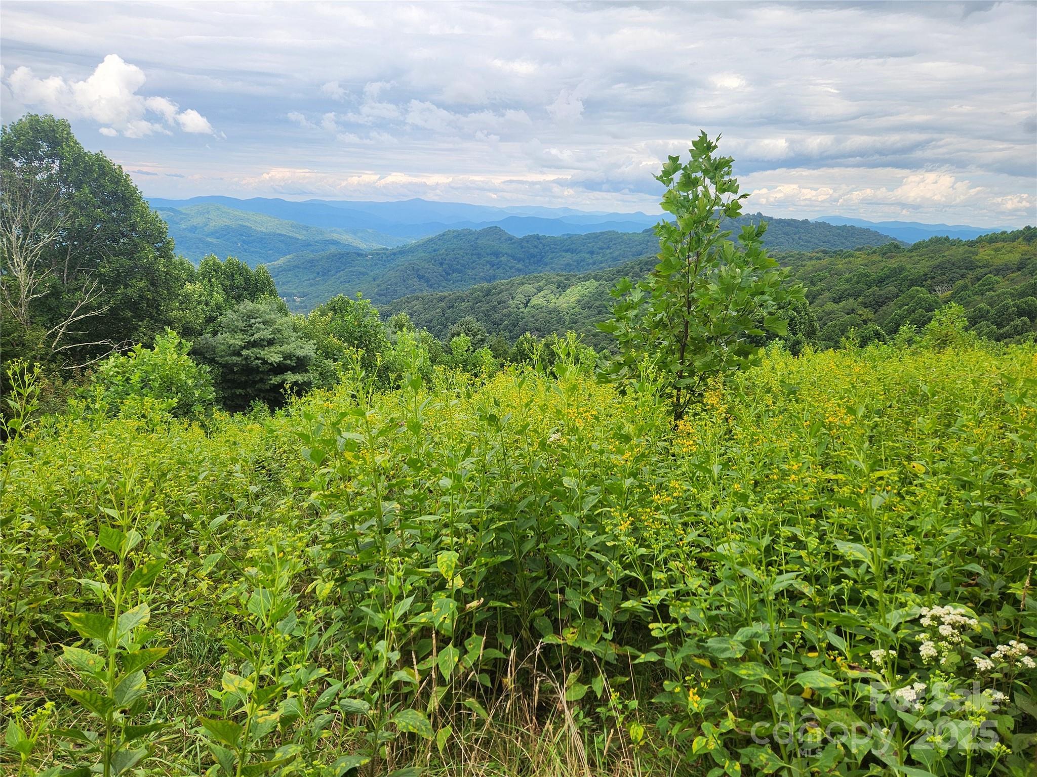 1925 S Fork Road Marshall NC 28753