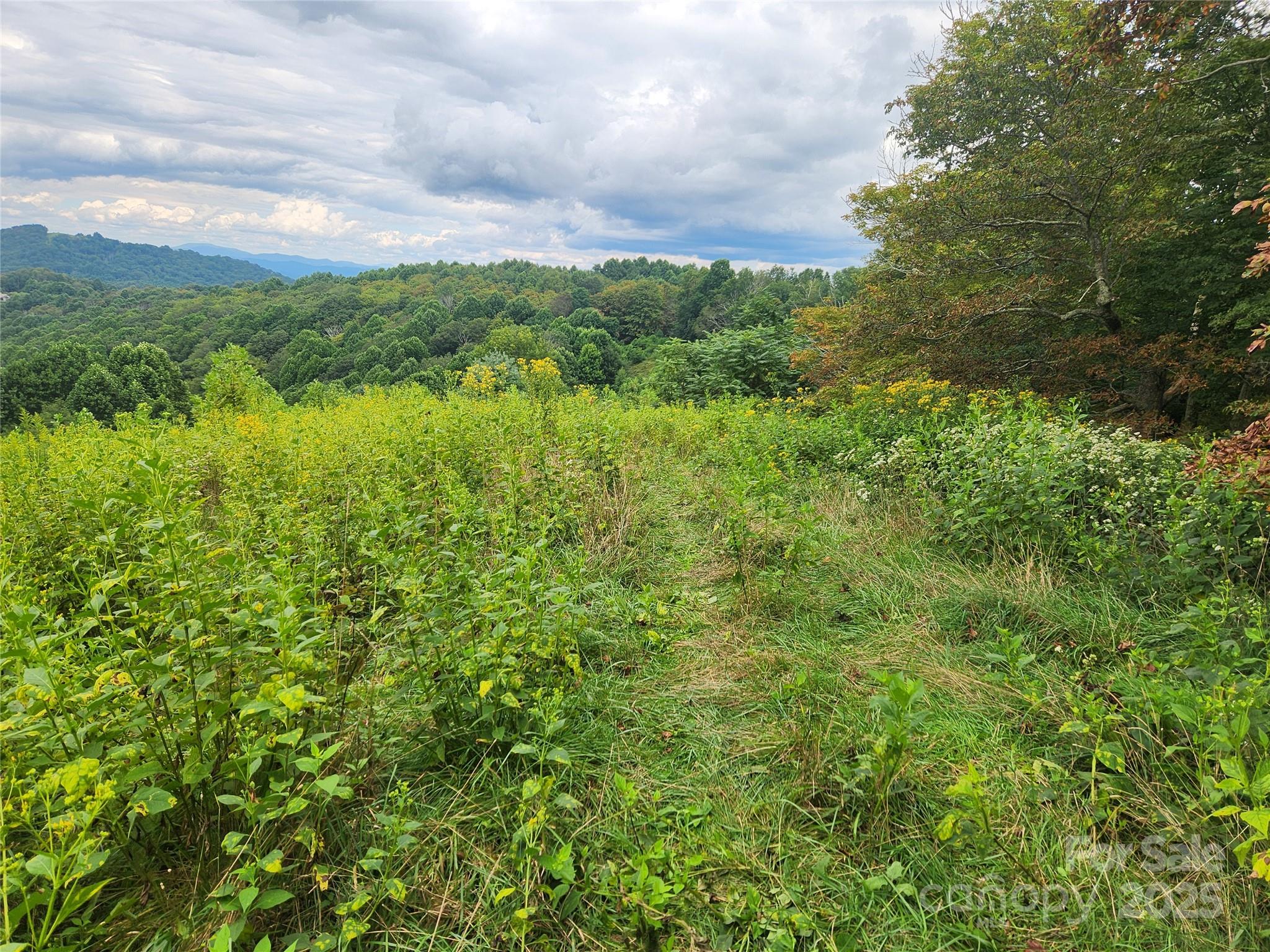 1925 S Fork Road Marshall NC 28753