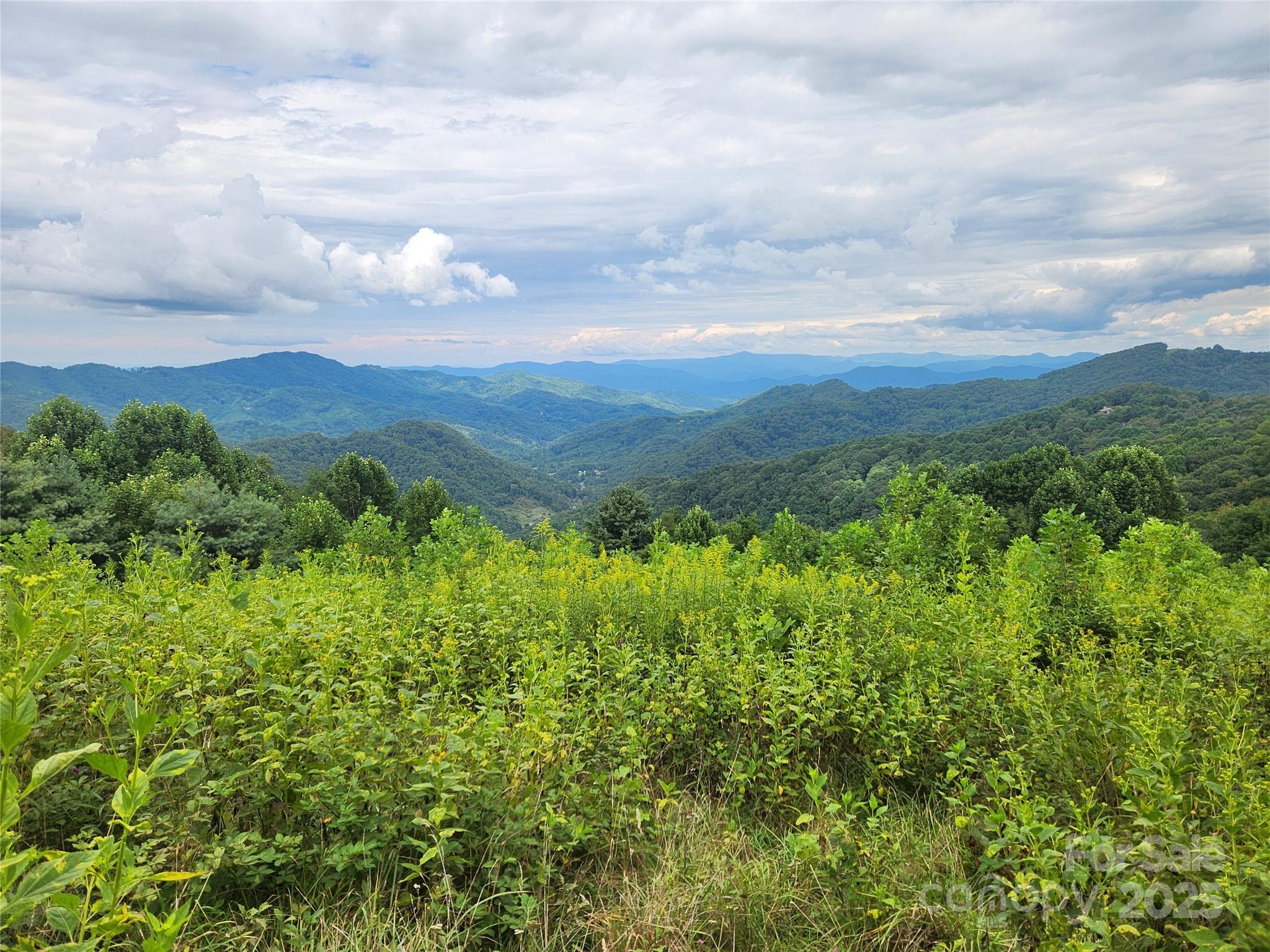 1925 S Fork Road Marshall NC 28753