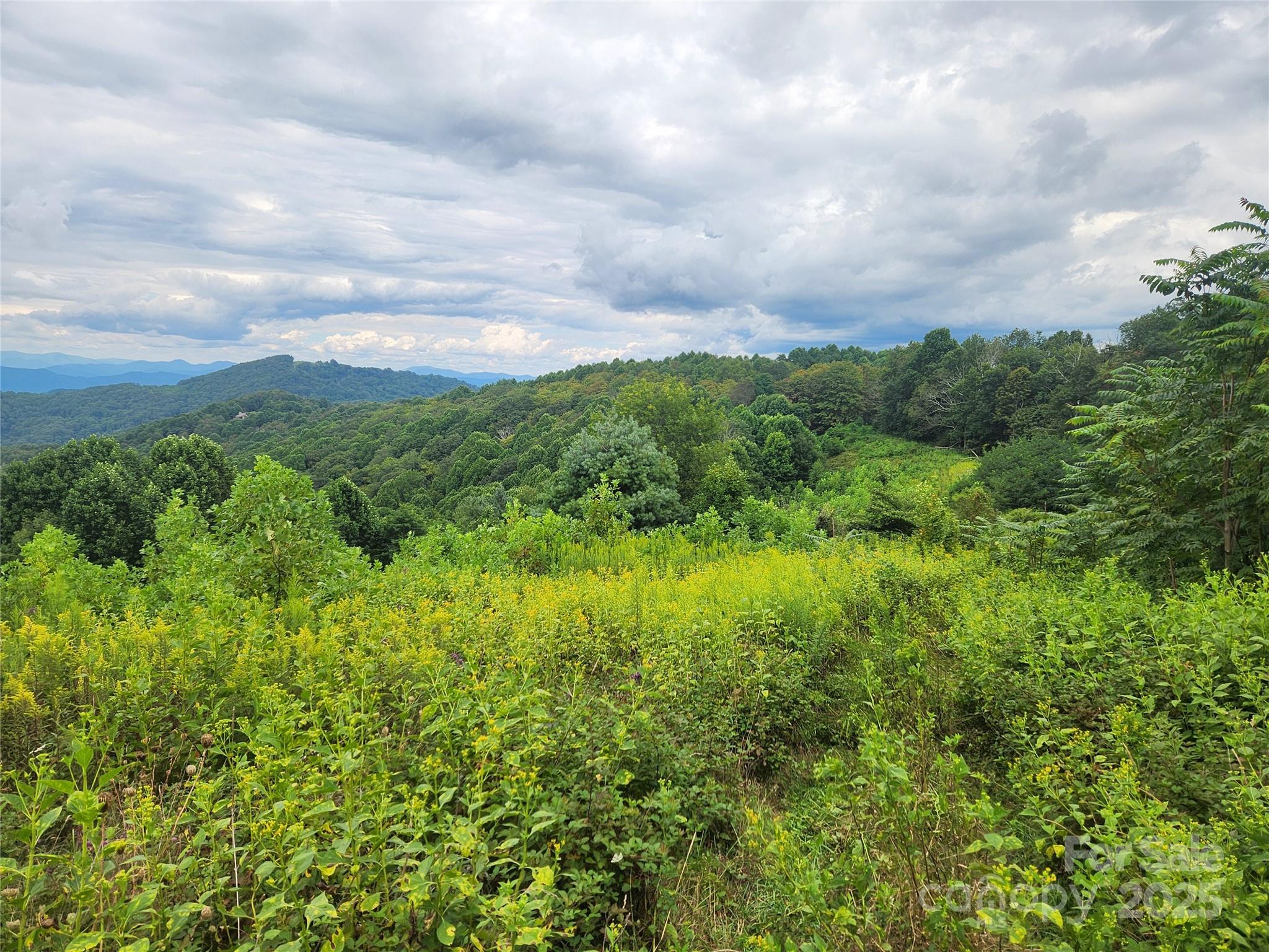 1925 S Fork Road Marshall NC 28753