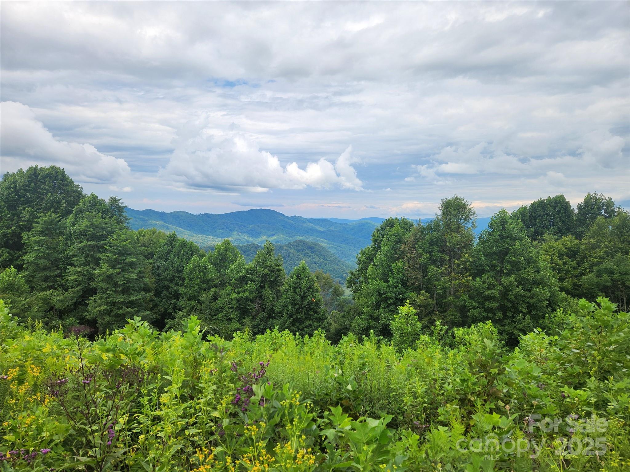 1925 S Fork Road Marshall NC 28753