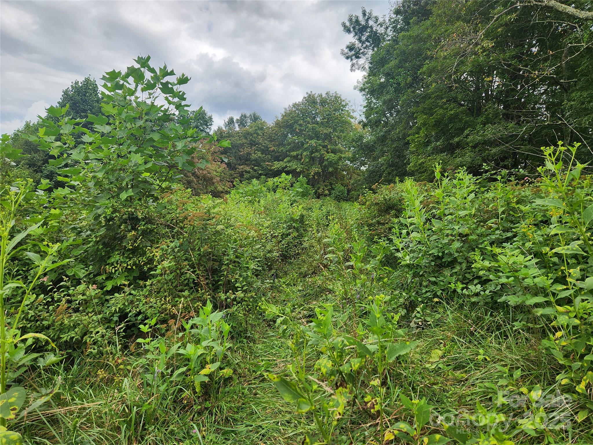 1925 S Fork Road Marshall NC 28753