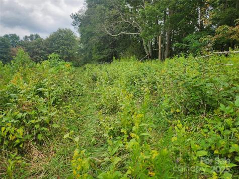 1925 S Fork Road Marshall NC 28753