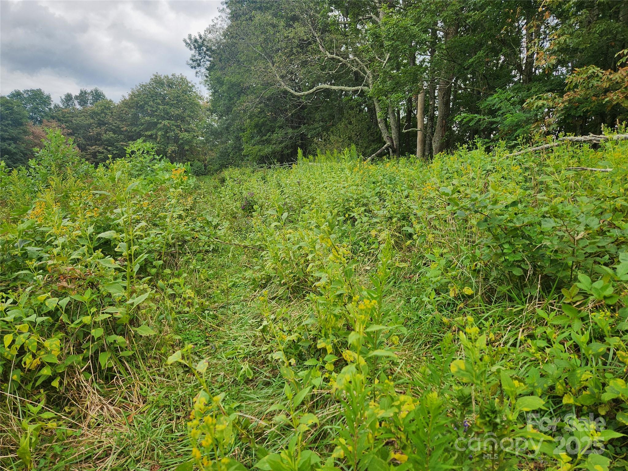 1925 S Fork Road Marshall NC 28753