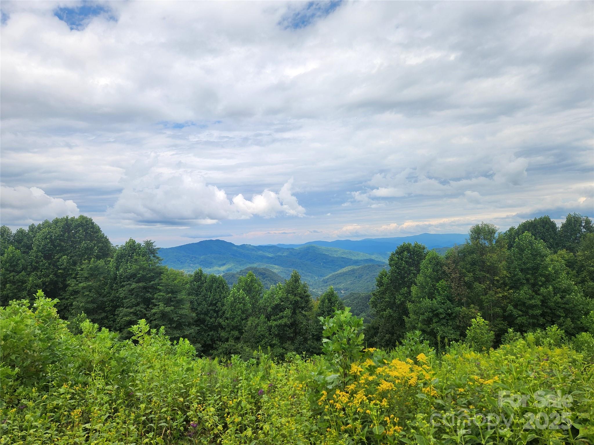 1925 S Fork Road Marshall NC 28753