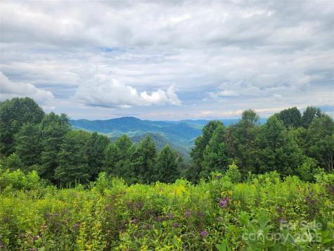 1925 S Fork Road Marshall NC 28753