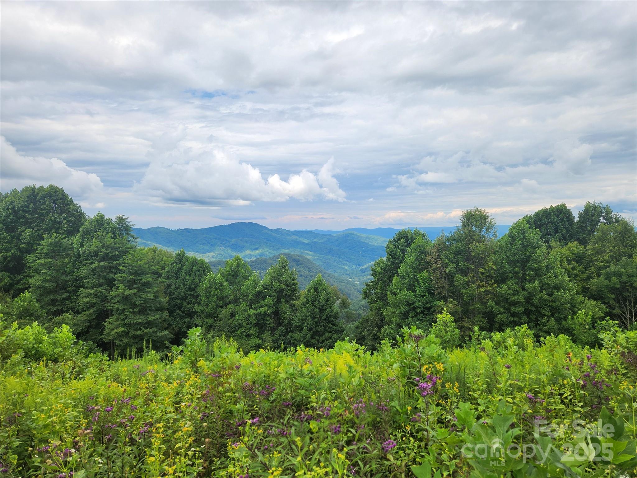 1925 S Fork Road Marshall NC 28753