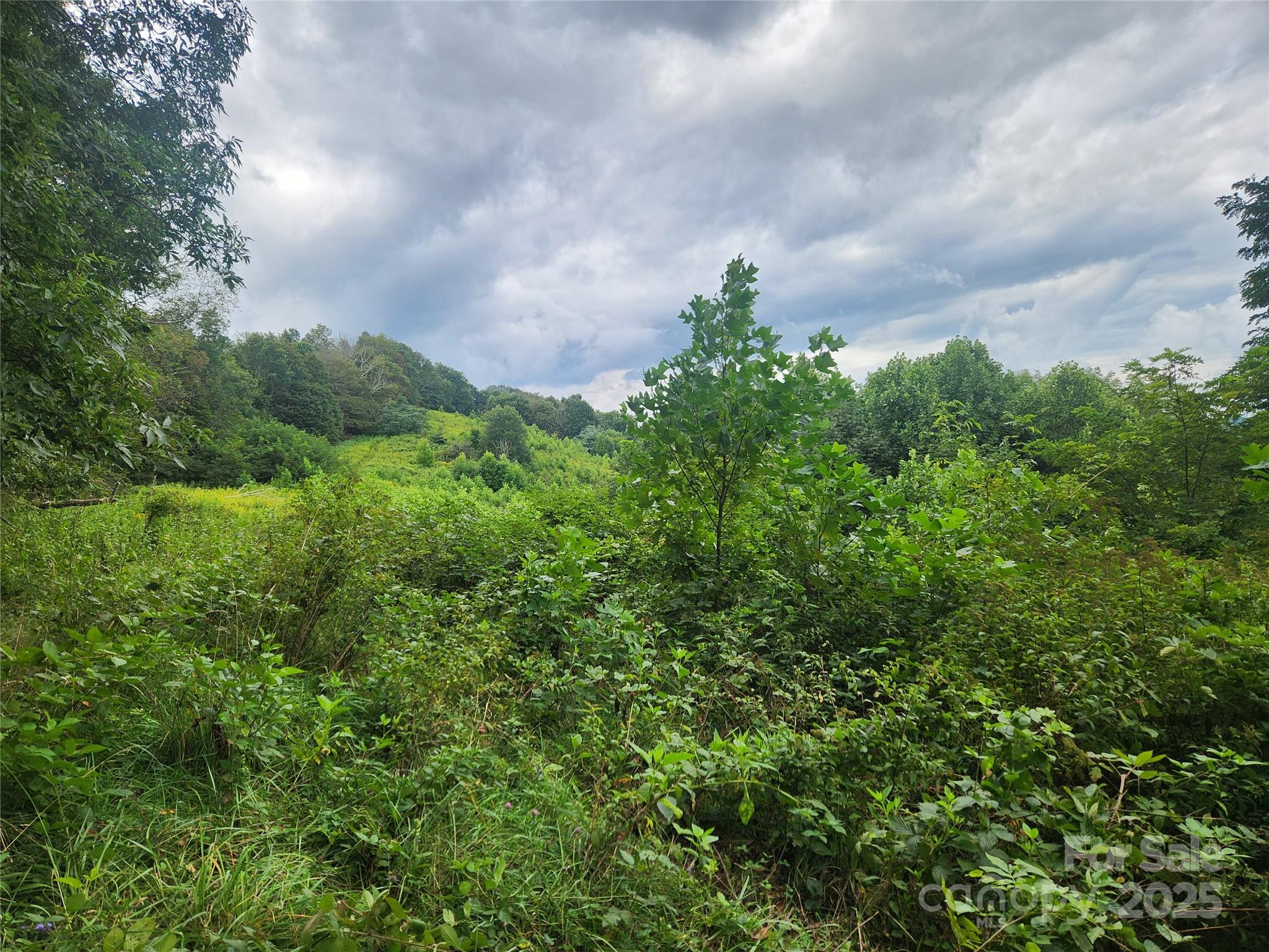 1925 S Fork Road Marshall NC 28753